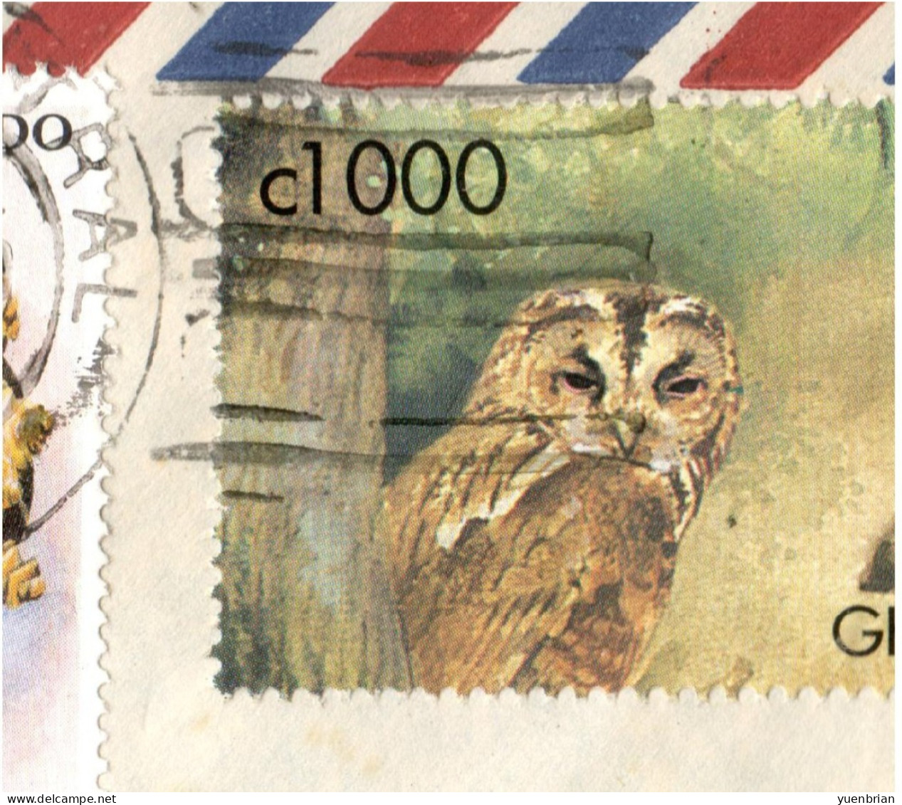 Ghana, Bird, Birds, Owl, Circulated Cover To Germany - Uilen