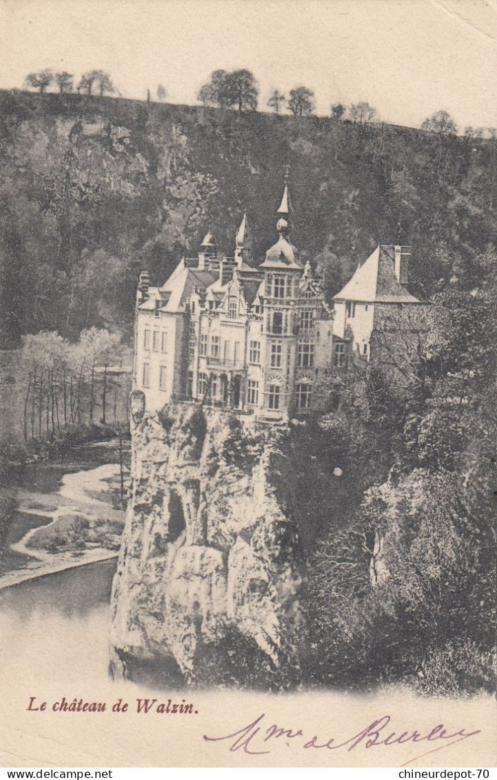 CHATEAU DE WALZIN - Dinant