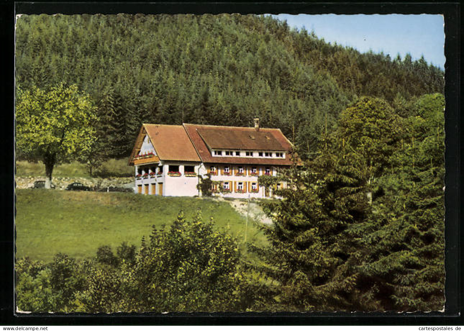 AK Saig /Hochschwarzwald, Pension Waldeck, Inh.: Familie P. Kuttruff  - Hochschwarzwald