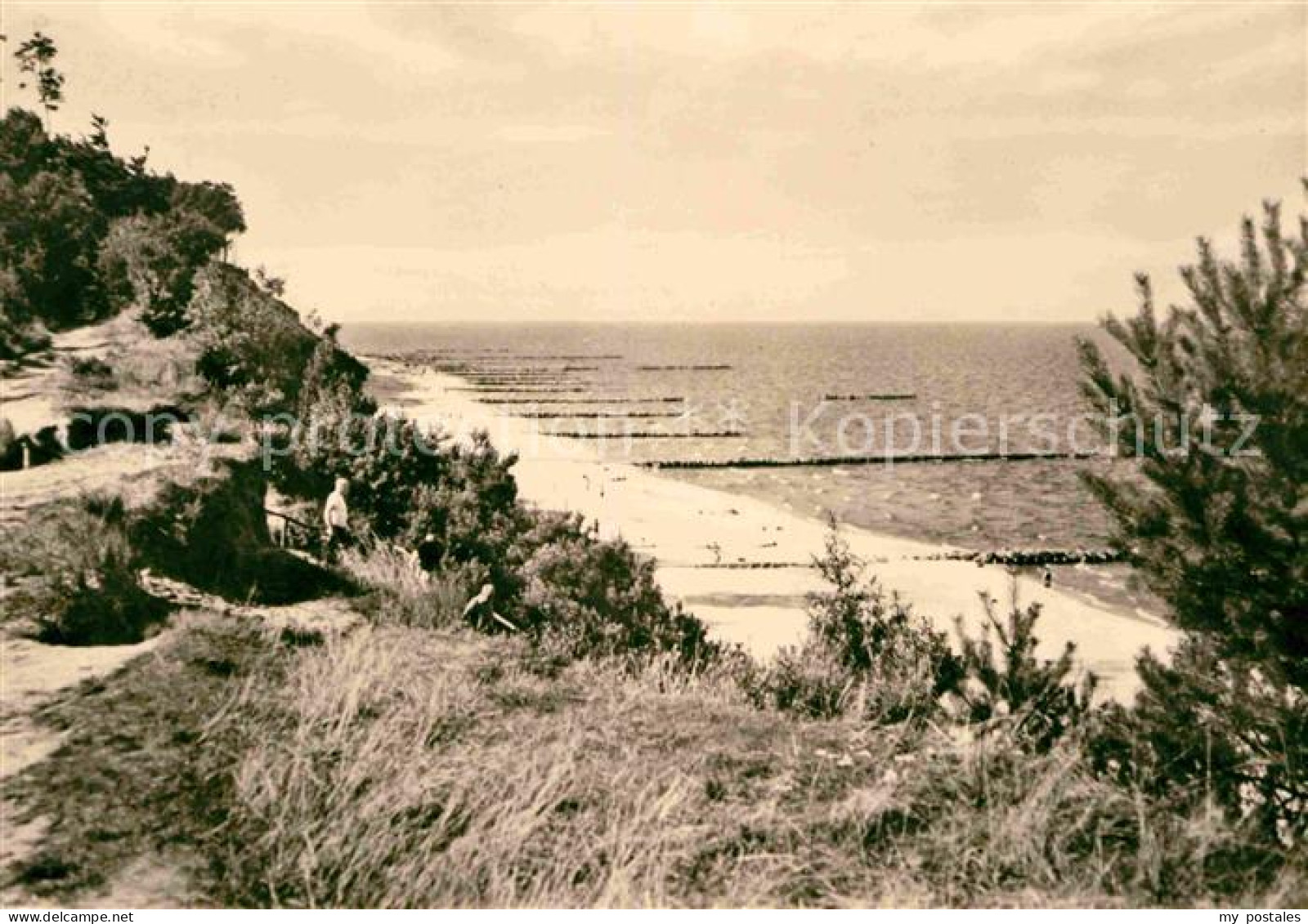 72648760 Insel Usedom Hochufer Insel Usedom - Usedom