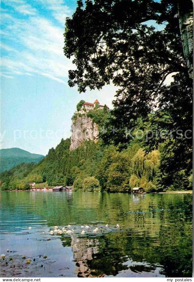 72646402 Bled Burgblick Slovenia - Slowenien