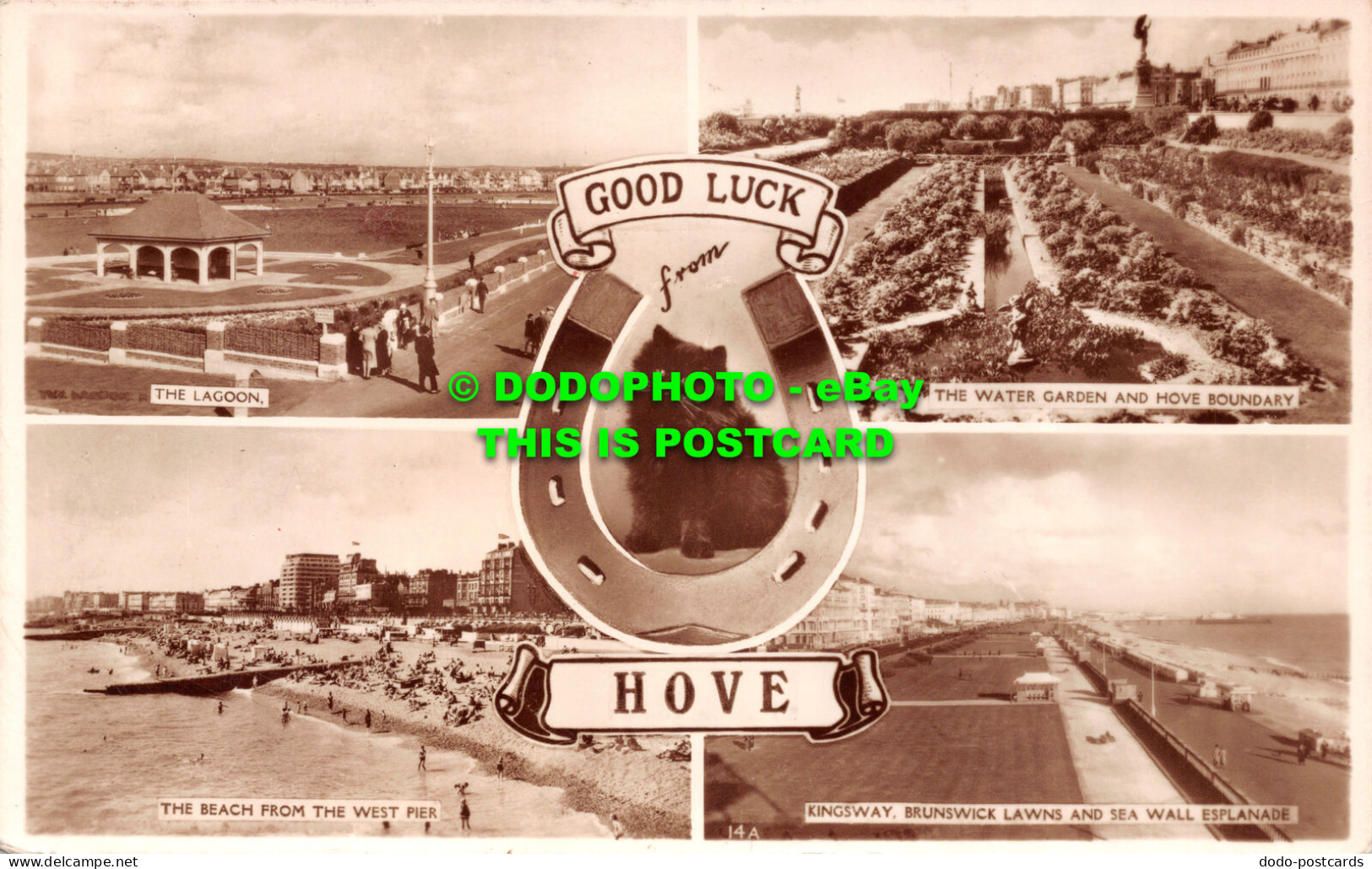 R502809 Good Luck From Hove. Cat. 1954. RP. Multi View - Welt
