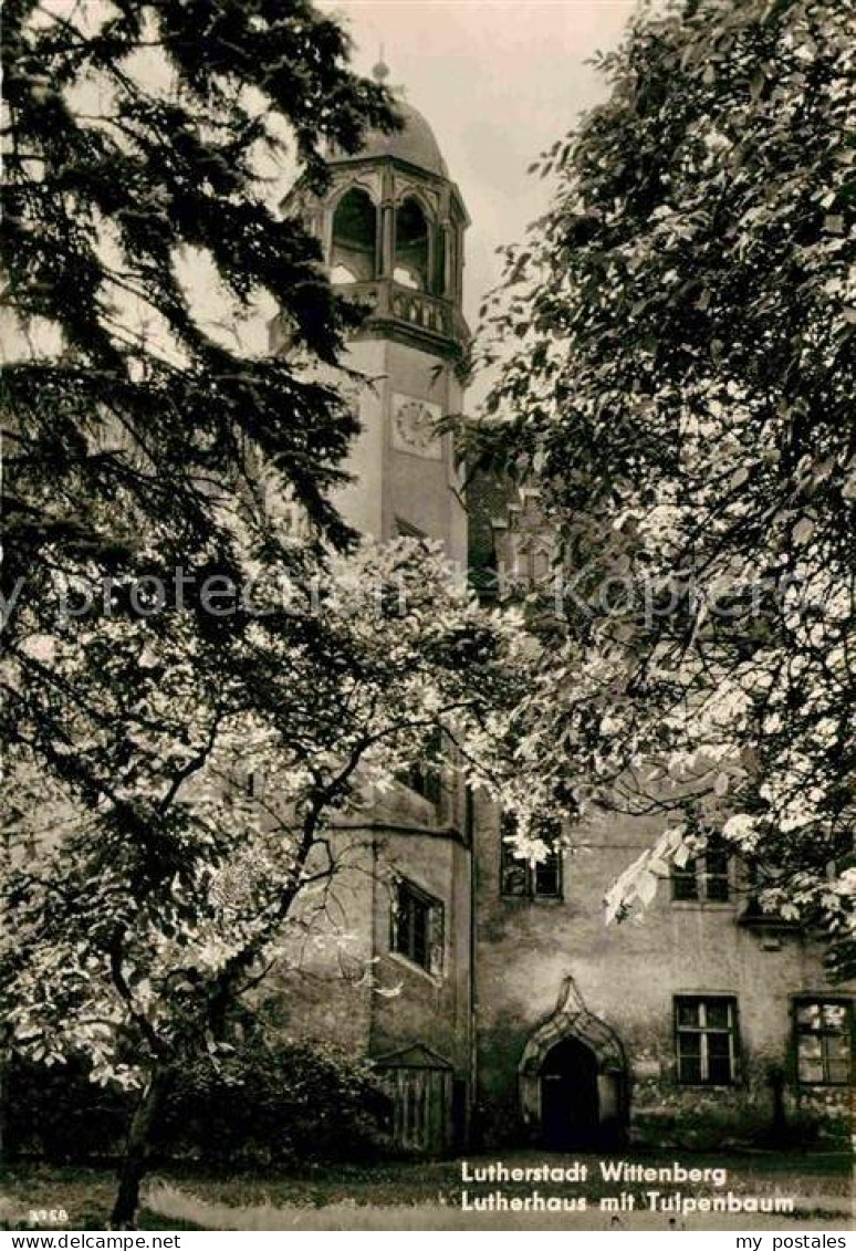 72645897 Wittenberg Lutherstadt Lutherhaus Wittenberg - Wittenberg