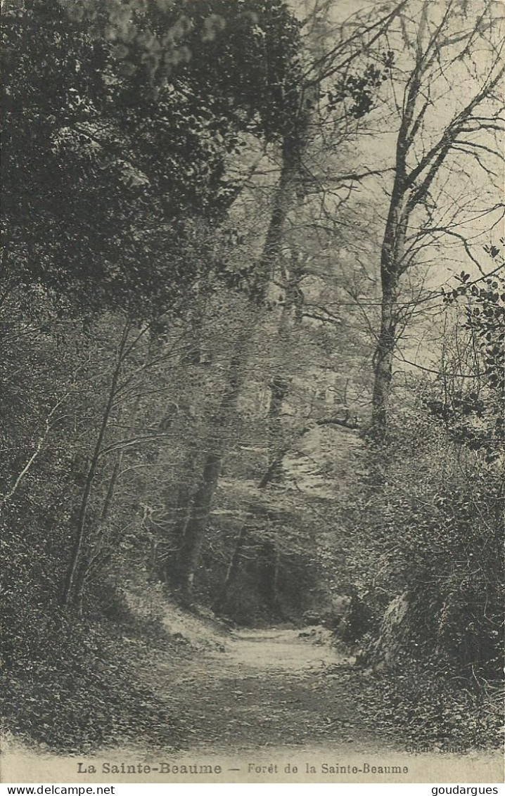 La Sainte-Baume - Forêt De La Sainte-Beaume - (P) - Aups