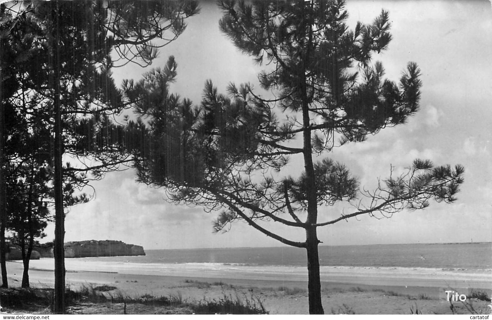 SAINT GEORGES DE DIDONNE . La Plage Vers Suzac - Saint-Georges-de-Didonne