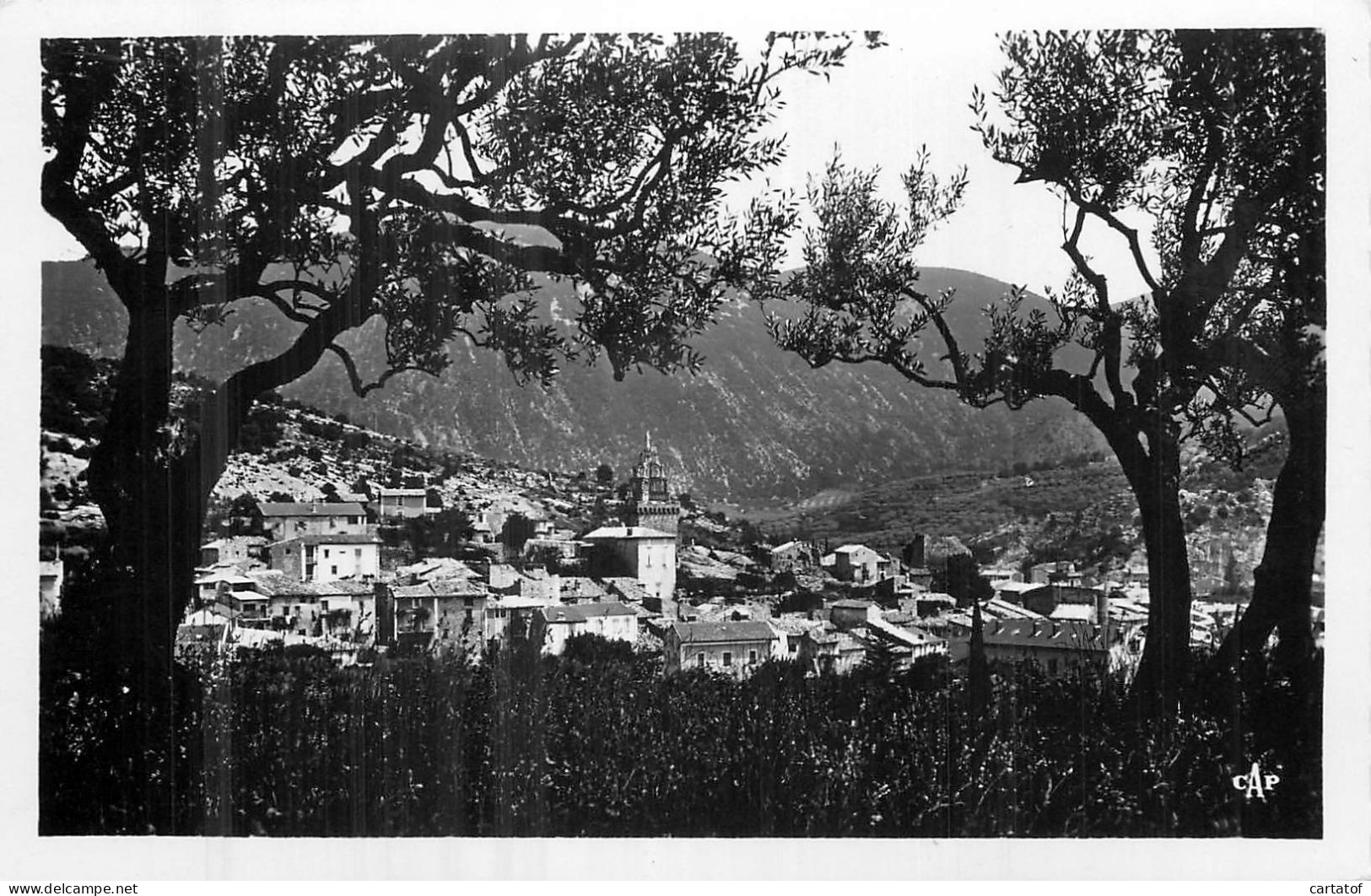 NYONS .  Vue à Travers Les Oliviers . - Nyons