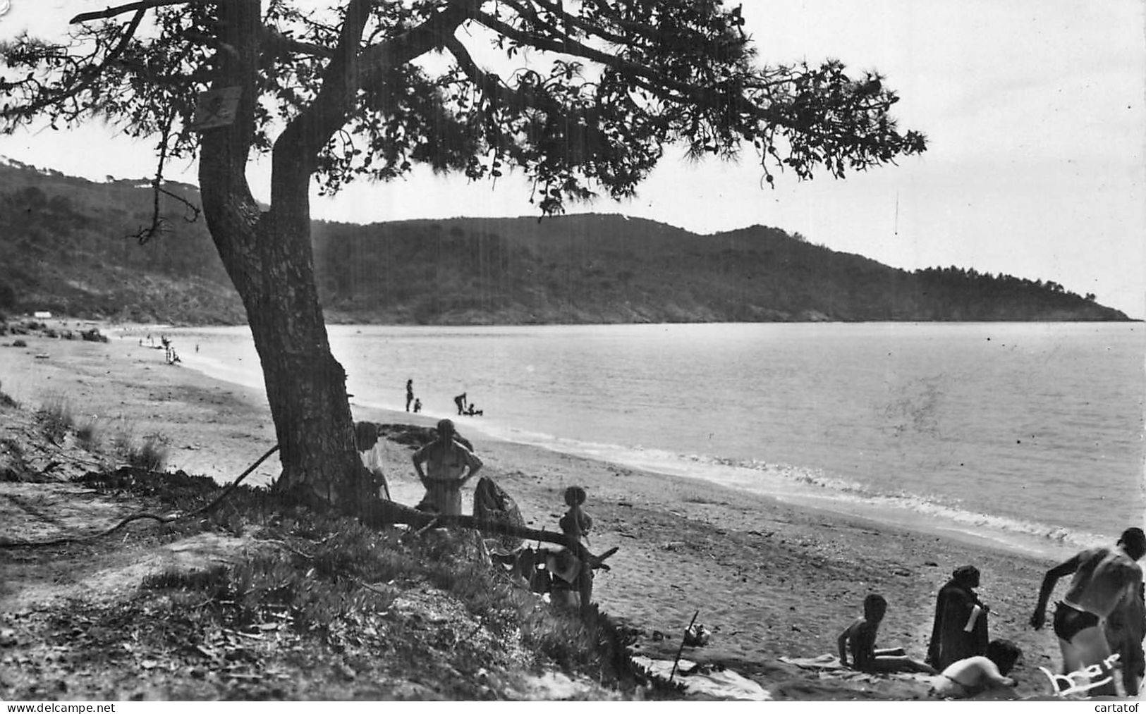 CAVALAIRE SUR MER . Plage Du Cigaro - Cavalaire-sur-Mer