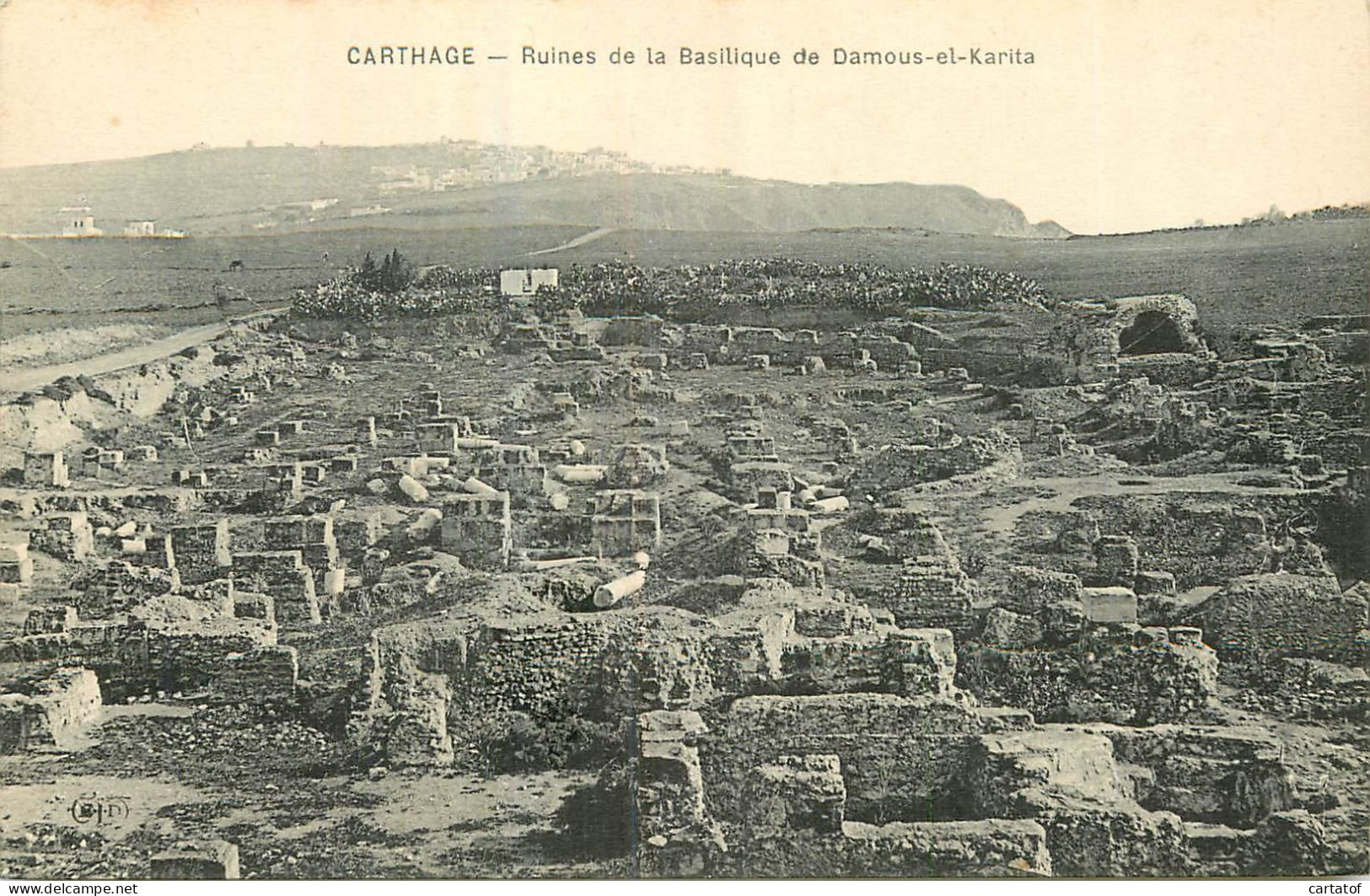 CARTHAGE . Ruines De La Basilique De Daous-el-Karita - Tunisia