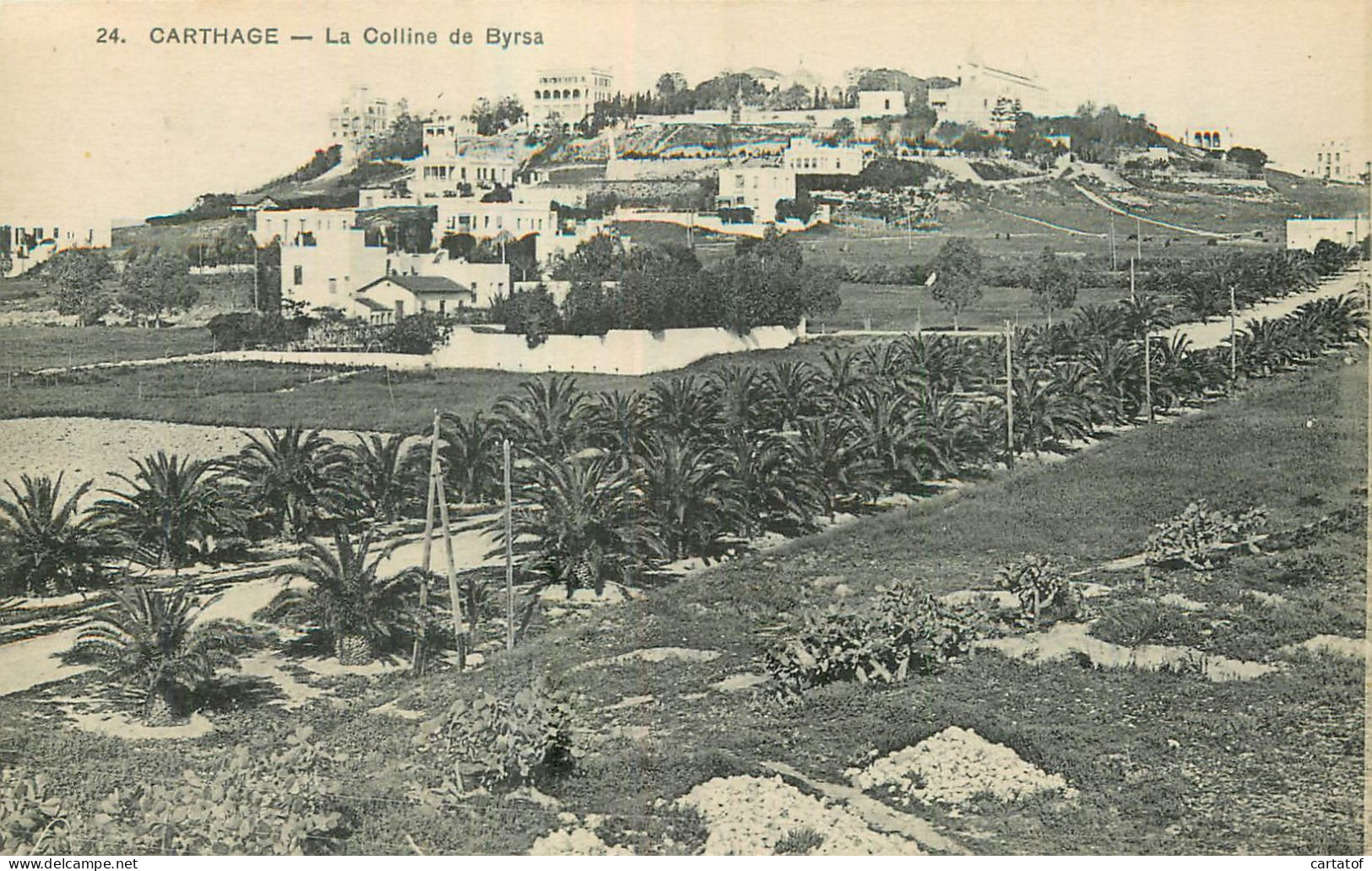 CARTHAGE . La Colline De Byrsa - Tunisia