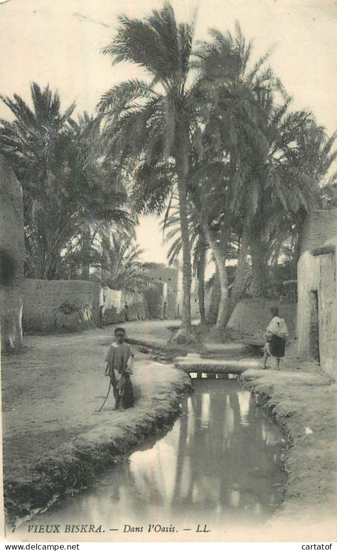 Vieux BISKRA . Dans L'Oued - Biskra