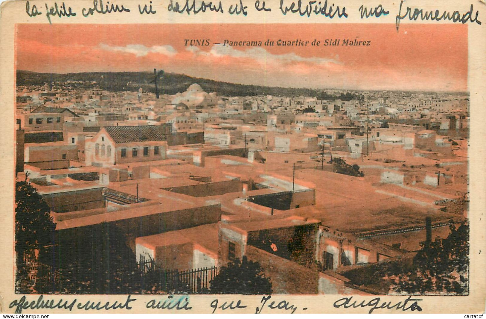 TUNIS . Panorama Du Quartier De Sidi Mahrez - Tunisia