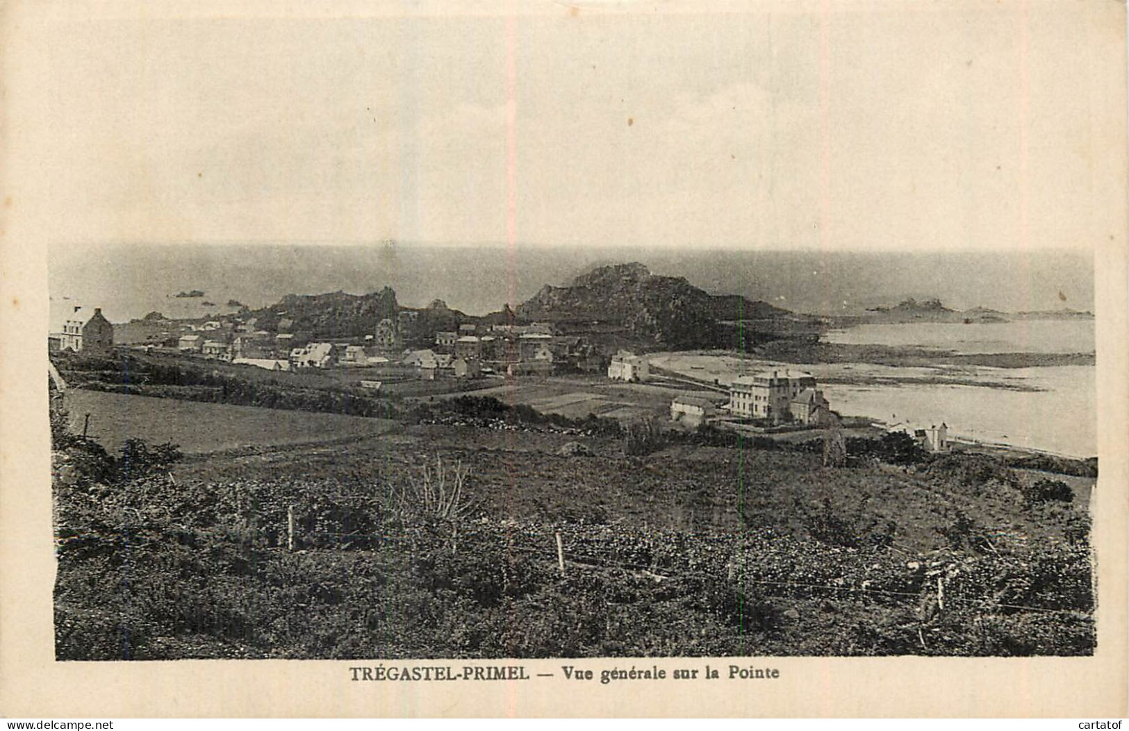 TREGASTEL PRIMEL . Vue Générale Sur La Pointe - Trégastel