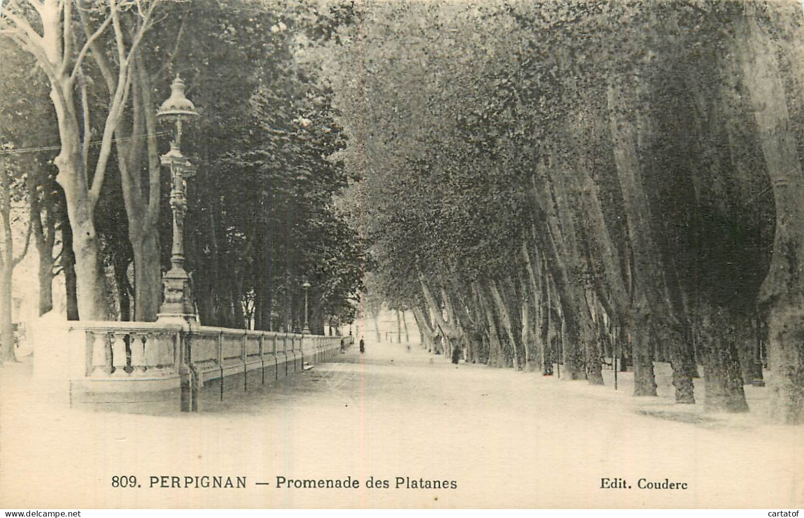 PERPIGNAN . Promenade Des Platanes - Perpignan
