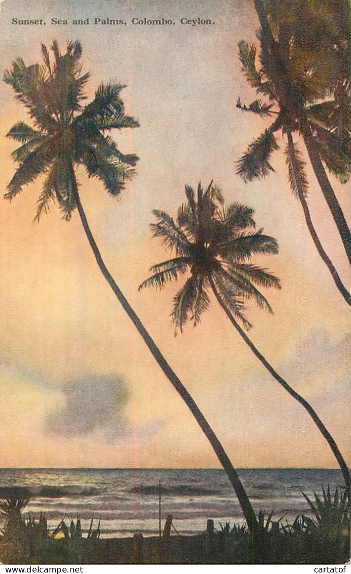 CEYLON . Suinset , Sea And Palms . Colombo . - Sri Lanka (Ceylon)