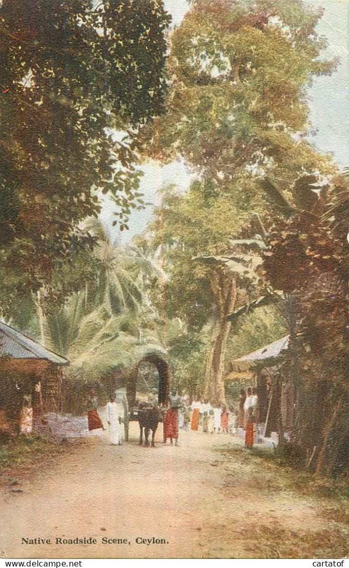 CEYLON .  Native Roadside Scène . - Sri Lanka (Ceylon)