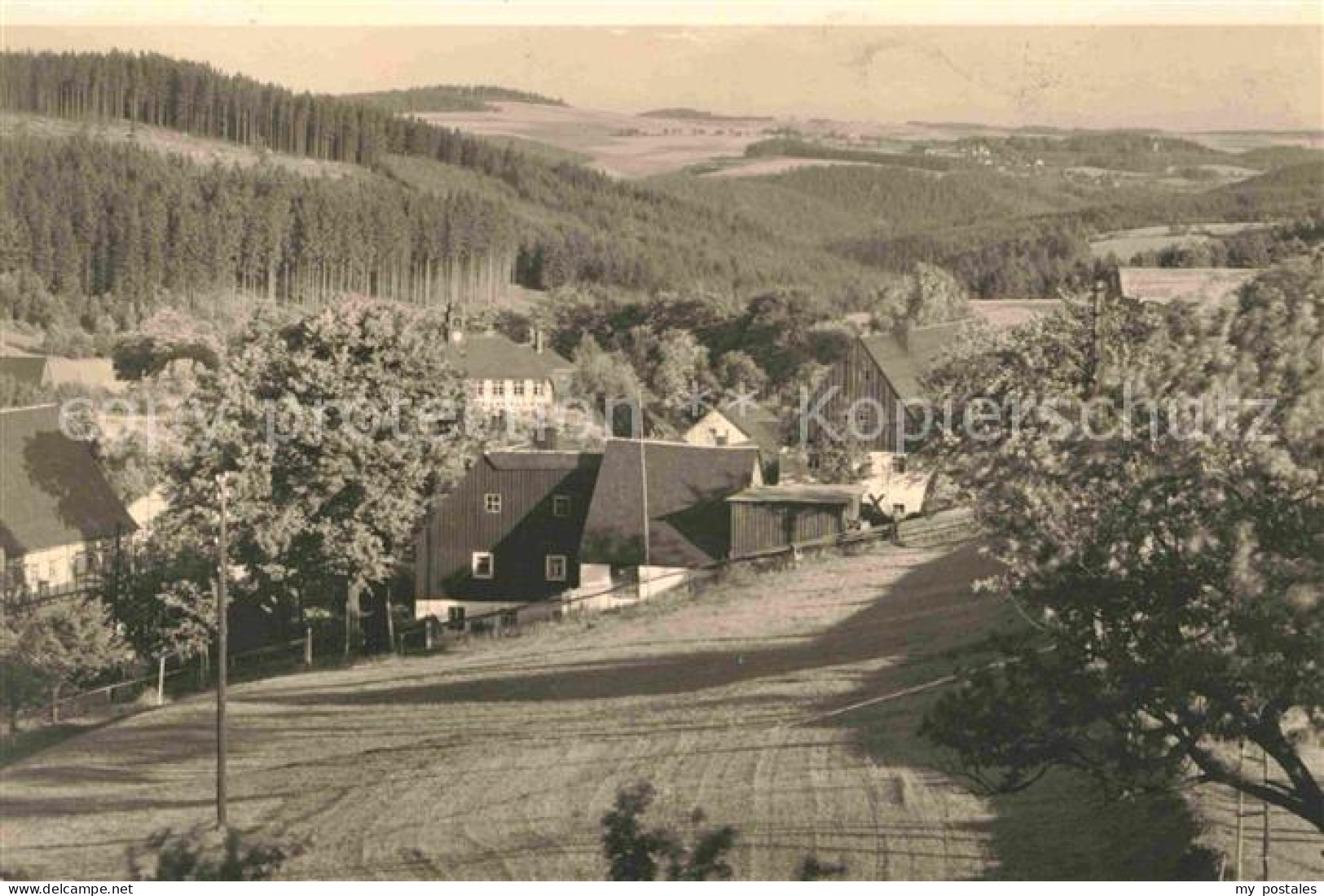 72642848 Falkenhain Altenberg Erzgebirge Teilansicht  Falkenhain Altenberg - Altenberg