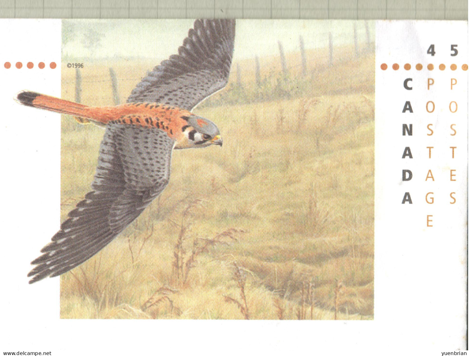 Canada 1996, Postal Stationery, Pre-Stamped Cover, Eagle, 1v,  MNH** - Arends & Roofvogels