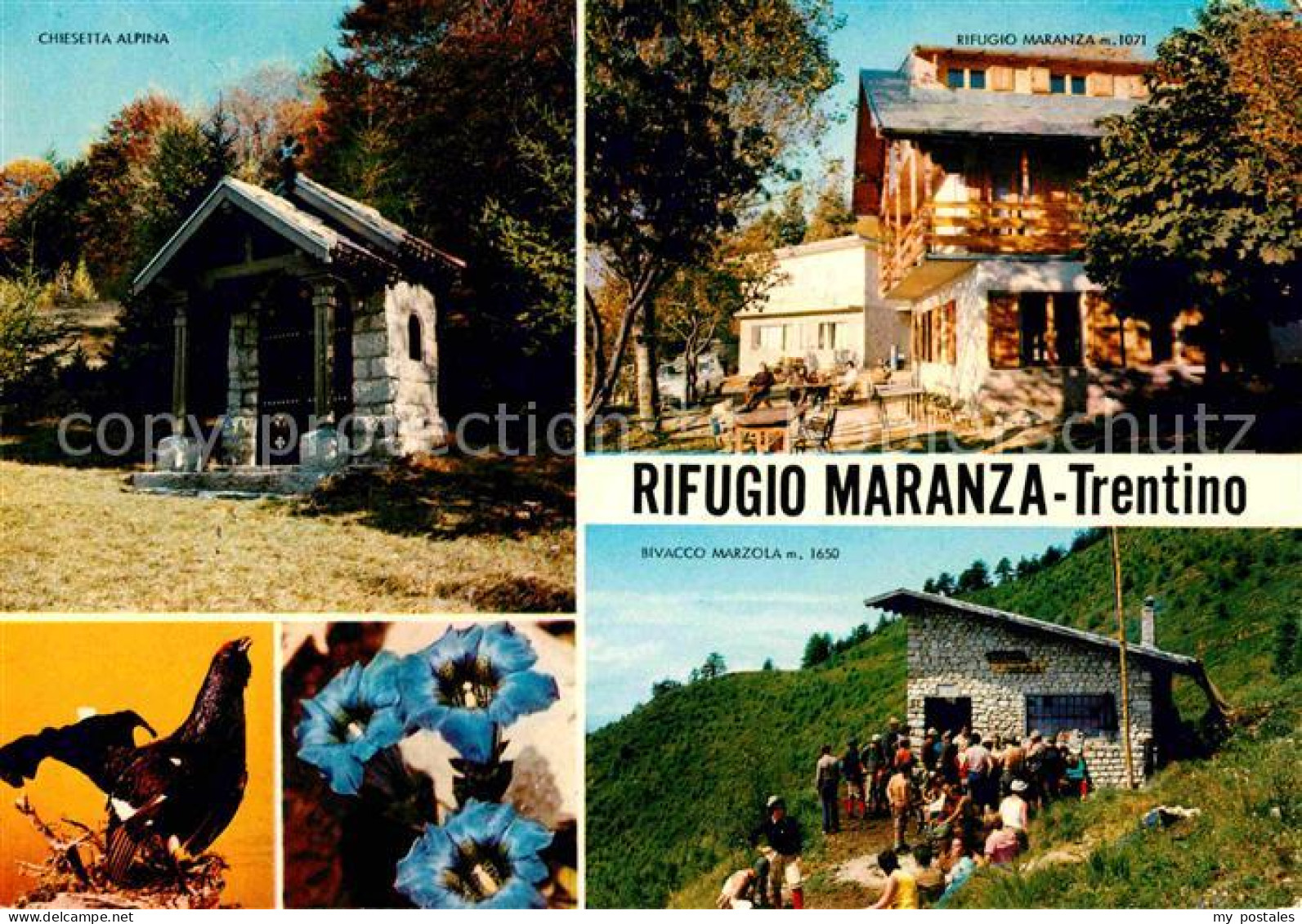 72641736 Trentino Dolomiten Rifugio Maranza Chiesetta Alpina Enzian Rivacco Marz - Otros & Sin Clasificación