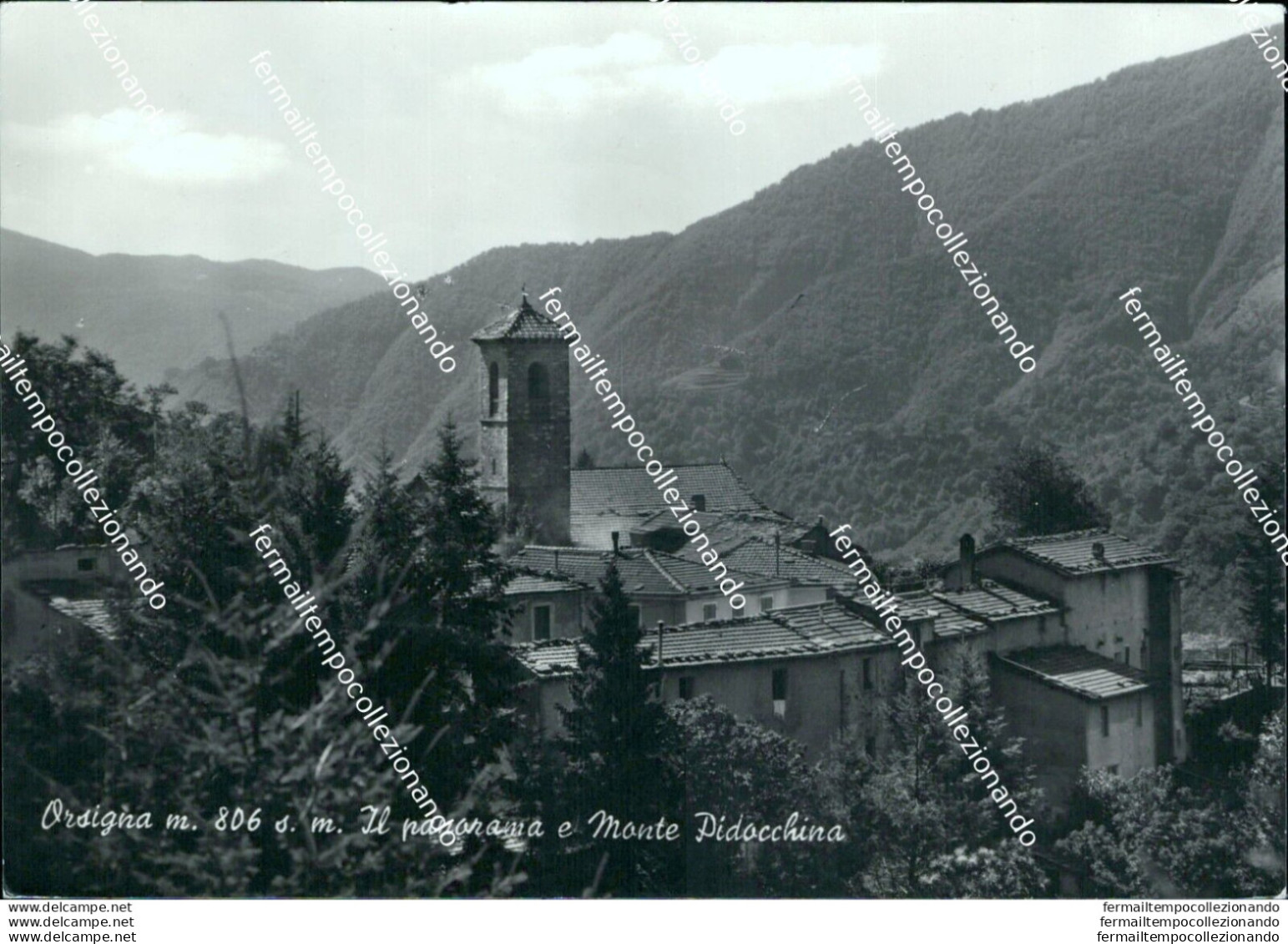 Br332 Cartolina Orsigna Il Panorama E Monte Pidocchina Pistoia Toscana - Pistoia