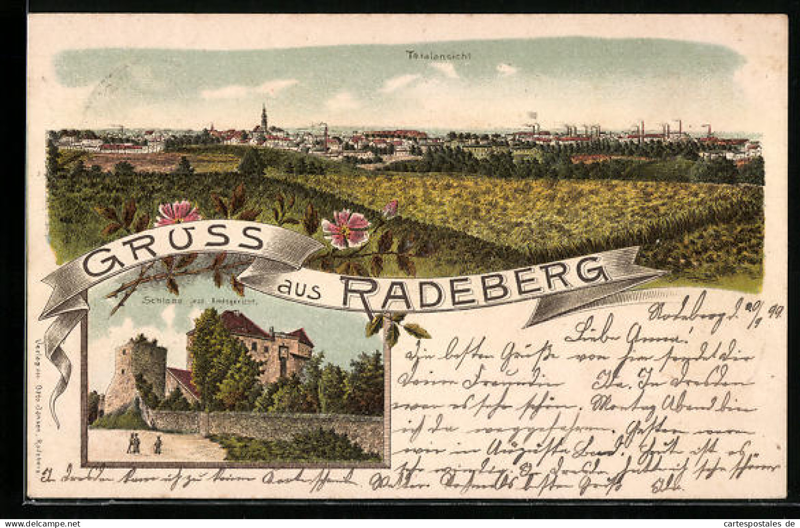 Lithographie Radeberg, Ortspanorama, Schloss / Amtsgericht  - Radeberg
