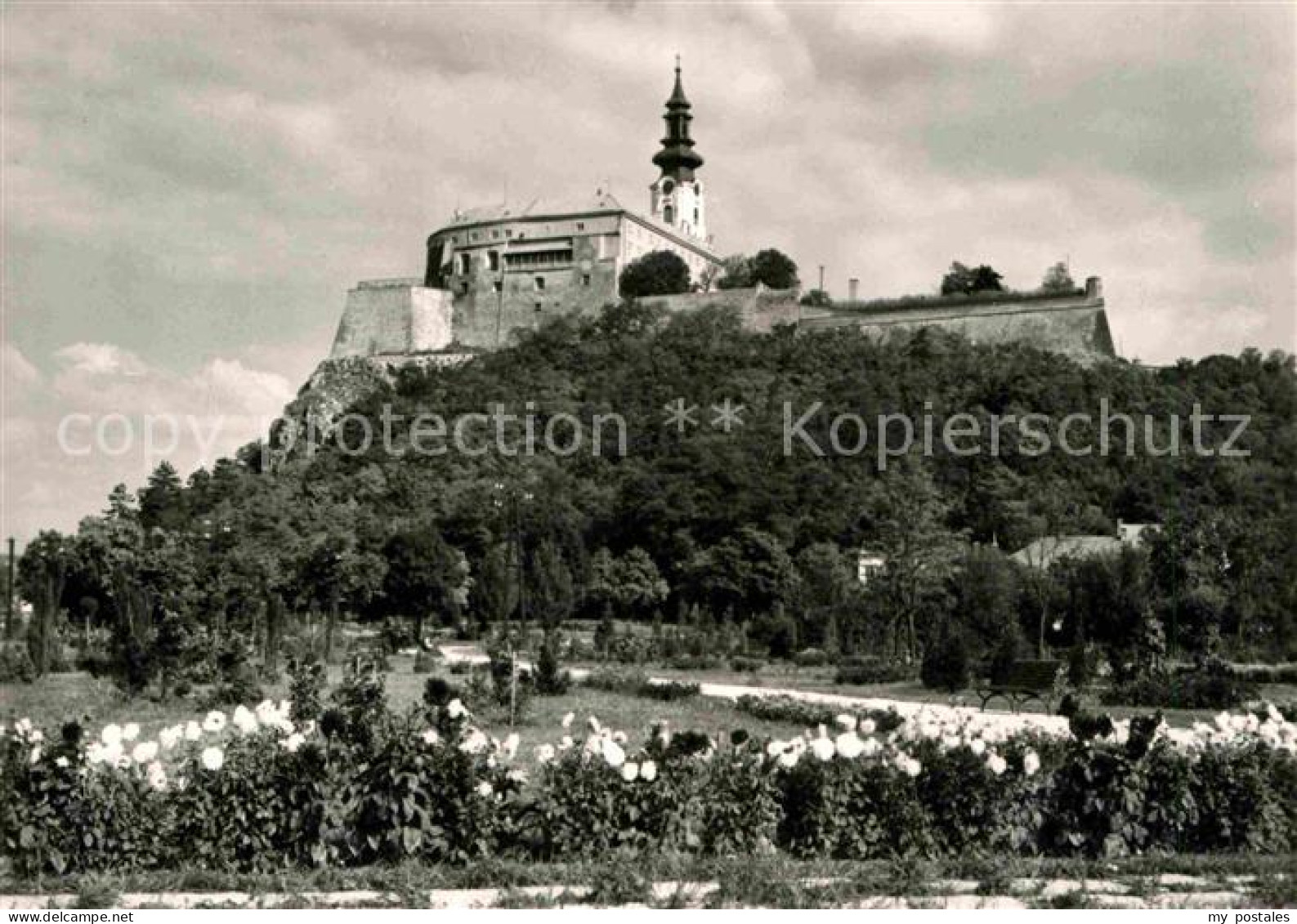 72641257 Nitra Hrad Burg Nitra - Slowakei