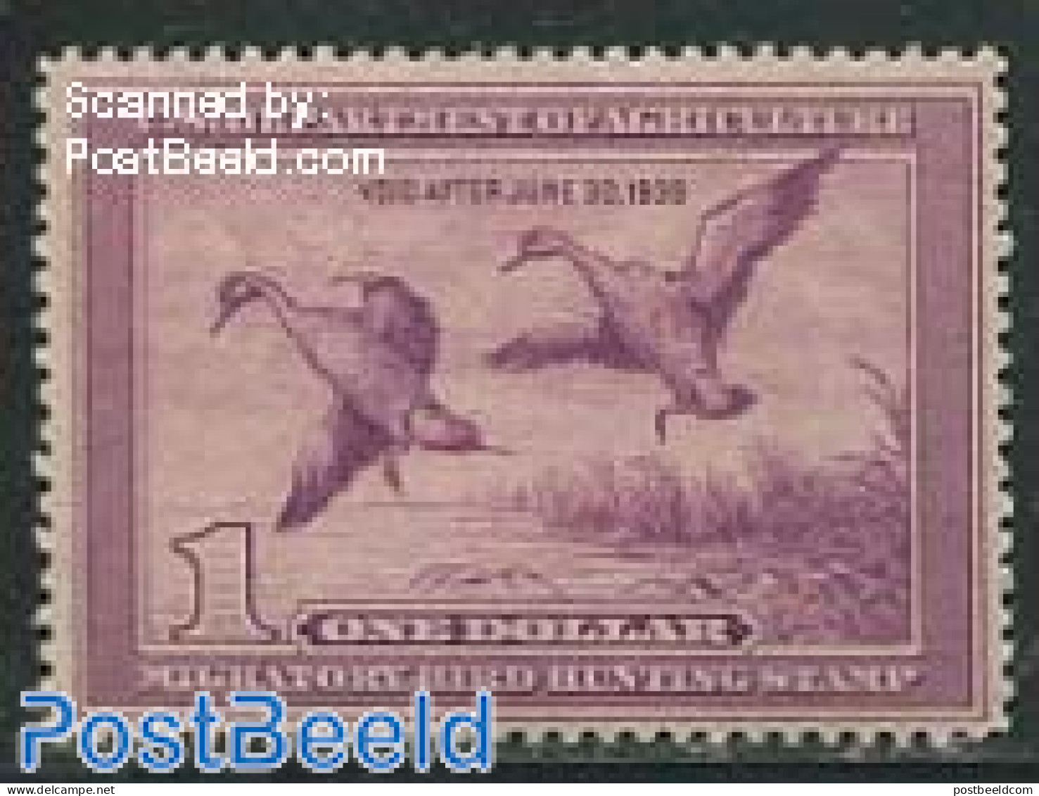 United States Of America 1938 Migratory Bird Hunting Stamp 1v, Pintail Drake, Unused (hinged), Nature - Ducks - Ungebraucht