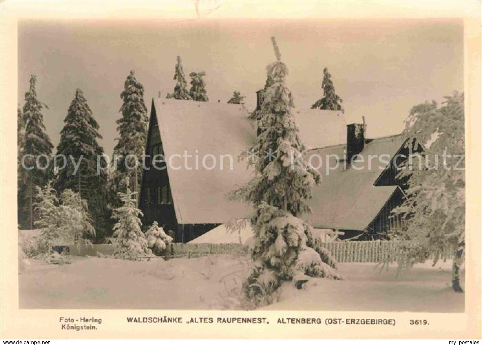 72641149 Altenberg Erzgebirge Waldschaenke Altes Raupennest Geising - Geising