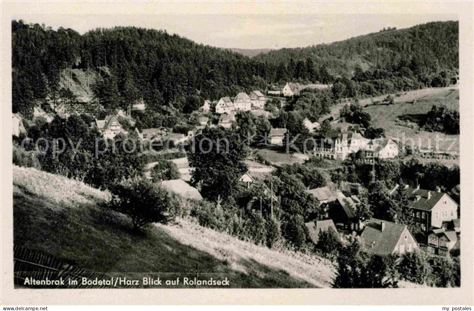 72640721 Altenbrak Harz Rolandseck Panorama Altenbrak - Altenbrak