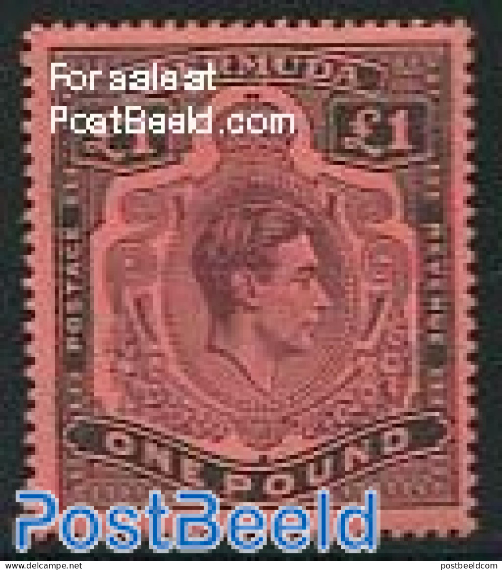 Bermuda 1938 1 Pound Black/brownpurple On Lightred, Perf. 14, Unused (hinged) - Bermuda
