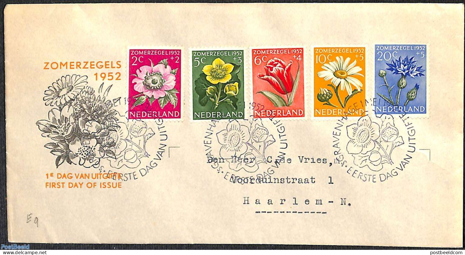 Netherlands 1952 Flowers FDC, Closed Cover, Typed Address, First Day Cover, Nature - Flowers & Plants - Lettres & Documents