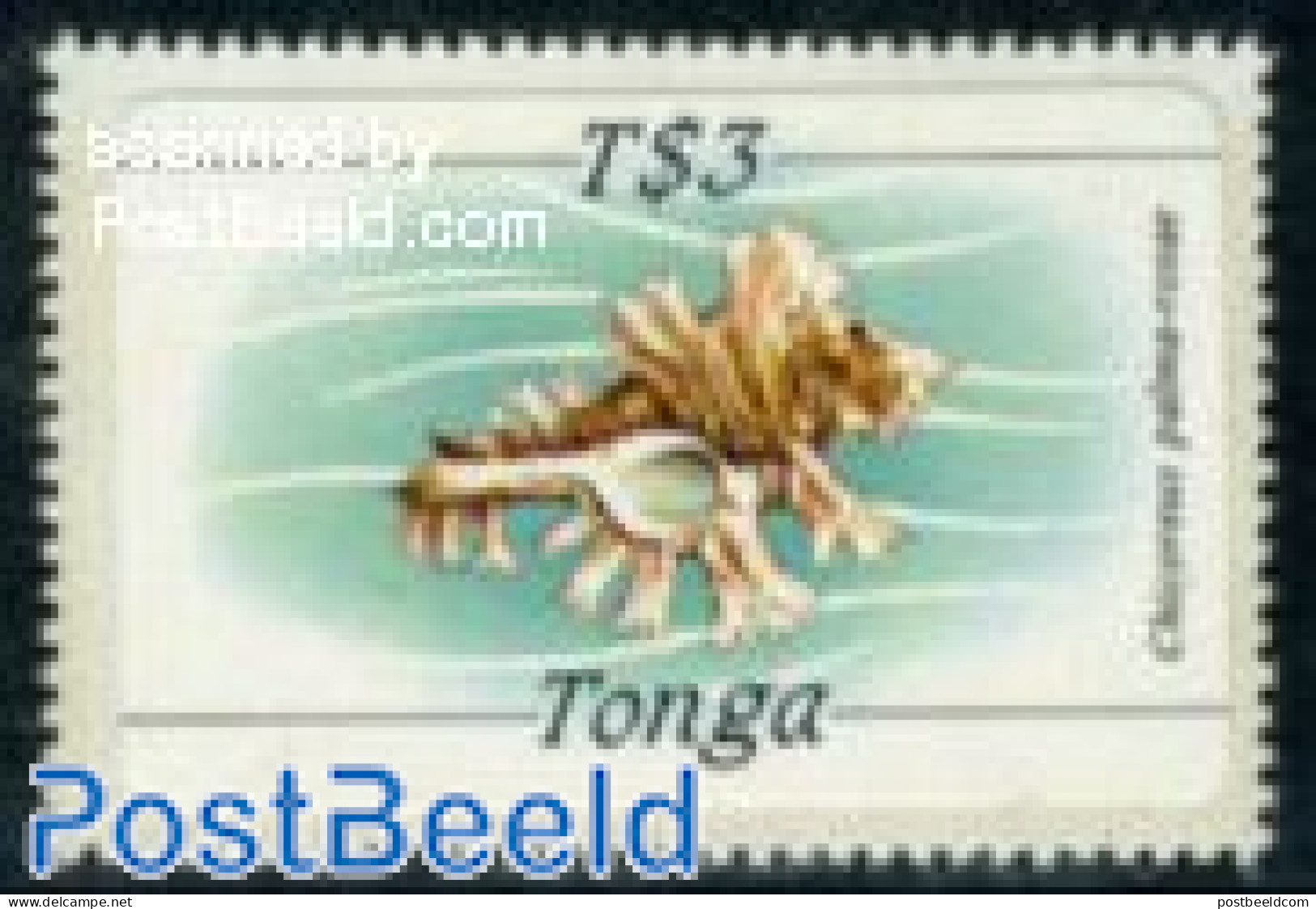 Tonga 1984 Stamp Out Of Set, Mint NH, Nature - Shells & Crustaceans - Marine Life