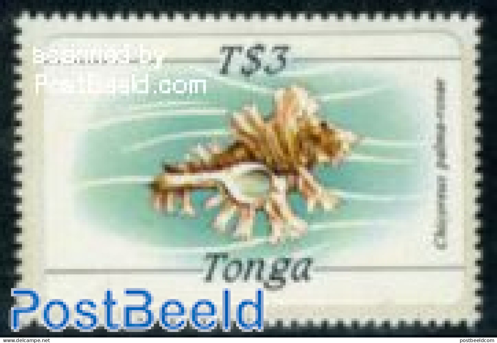 Tonga 1984 Stamp Out Of Set, Mint NH, Nature - Shells & Crustaceans - Maritiem Leven