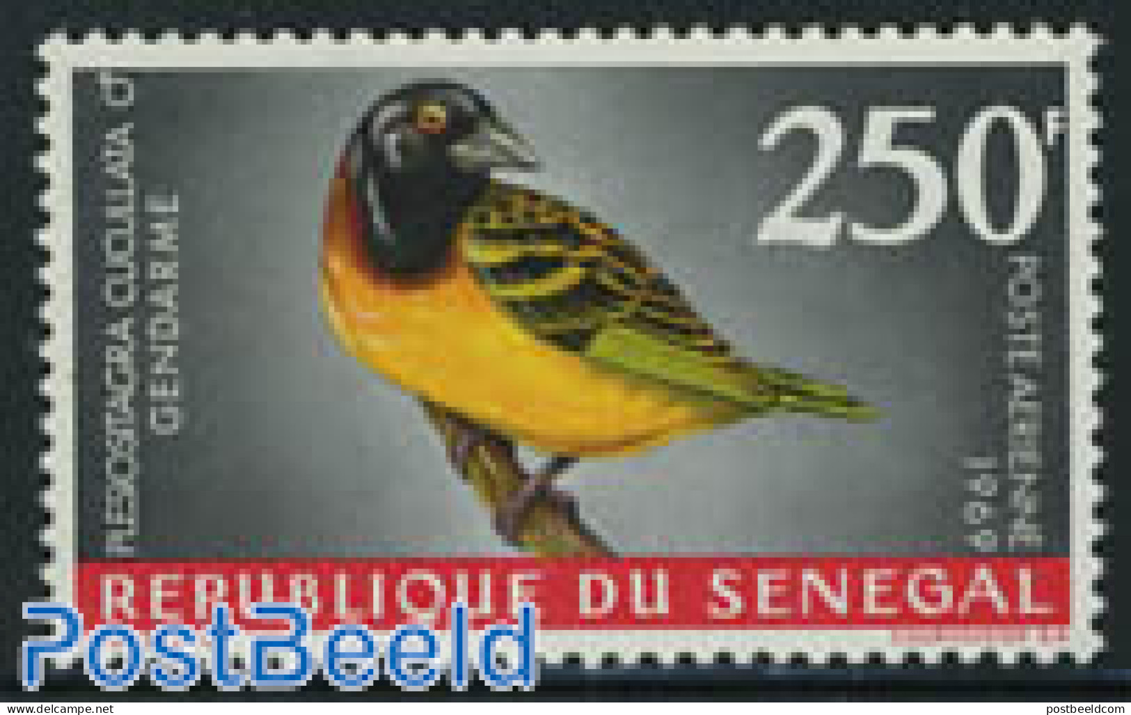 Senegal 1968 250F, Stamp Out Of Set, Mint NH, Nature - Birds - Senegal (1960-...)