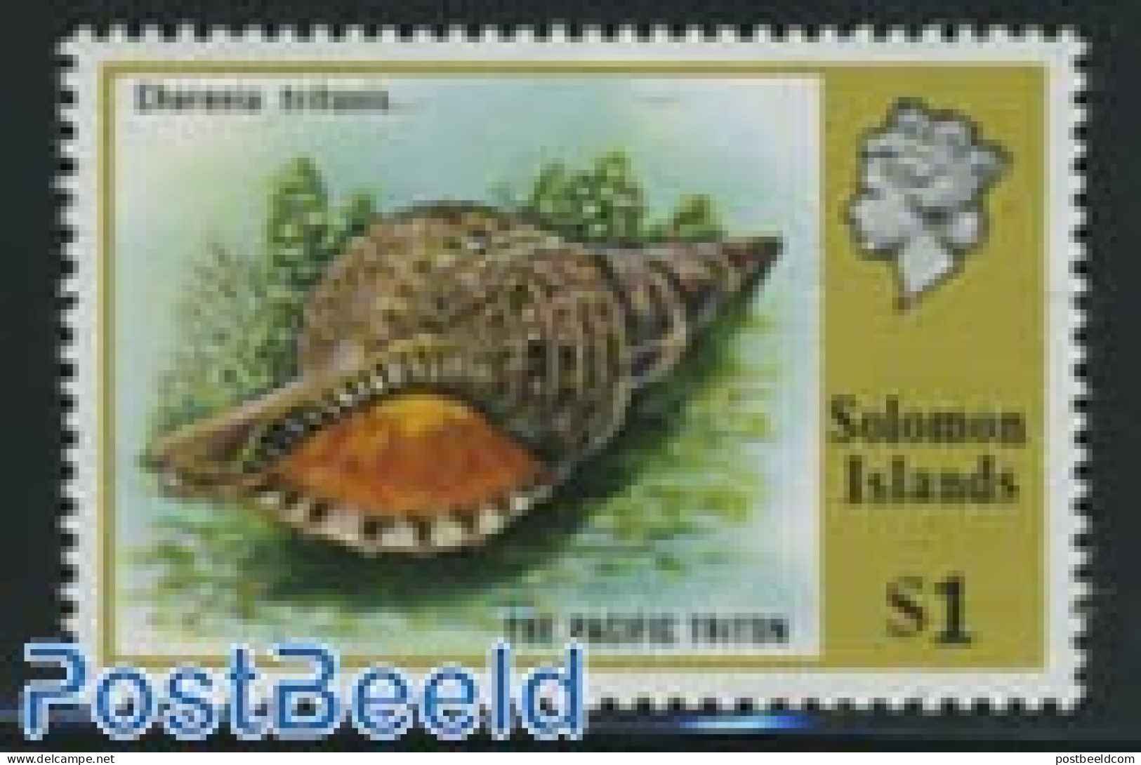 Solomon Islands 1976 Stamp Out Of Set, Mint NH, Nature - Shells & Crustaceans - Marine Life