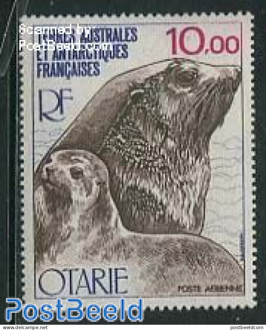 French Antarctic Territory 1977 10.00, Stamp Out Of Set, Mint NH, Nature - Sea Mammals - Ongebruikt