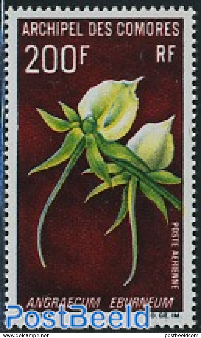 Comoros 1969 200F, Stamp Out Of Set, Mint NH, Nature - Flowers & Plants - Comores (1975-...)