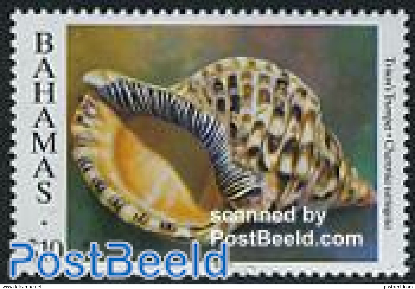 Bahamas 1996 Stamp Out Of Set, Mint NH, Nature - Shells & Crustaceans - Vie Marine