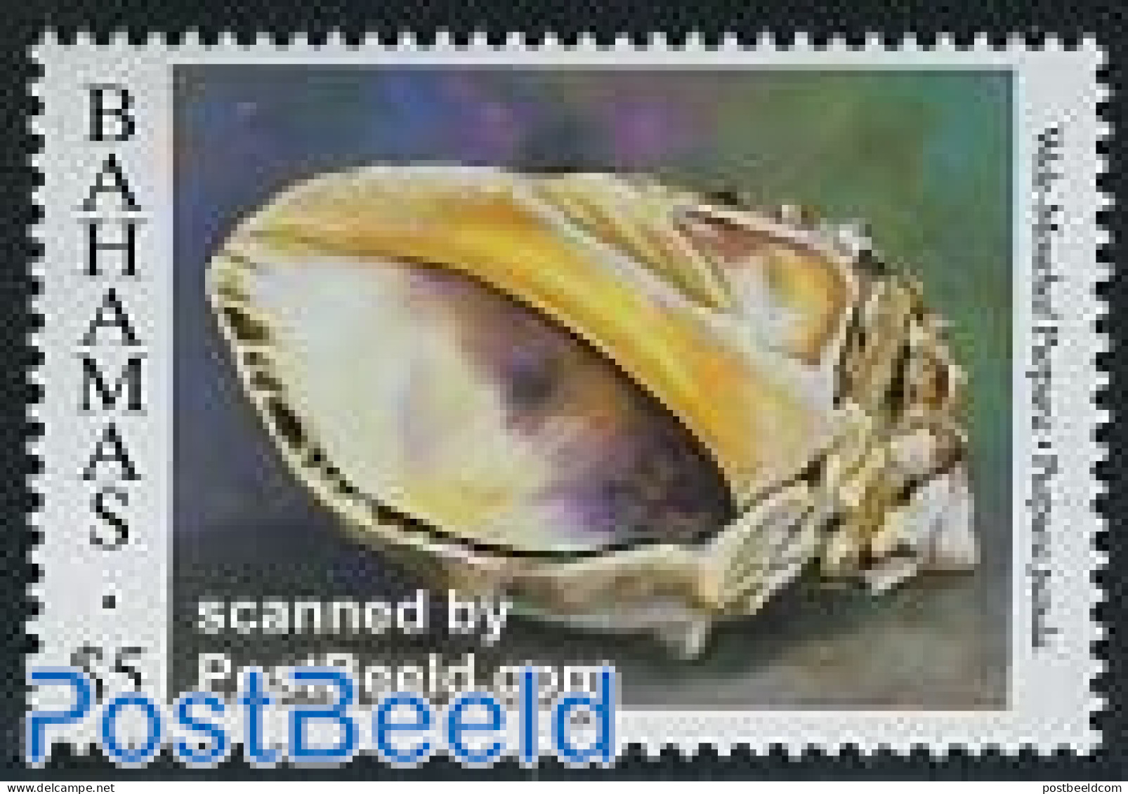 Bahamas 1997 Stamp Out Of Set, Mint NH, Nature - Shells & Crustaceans - Vie Marine