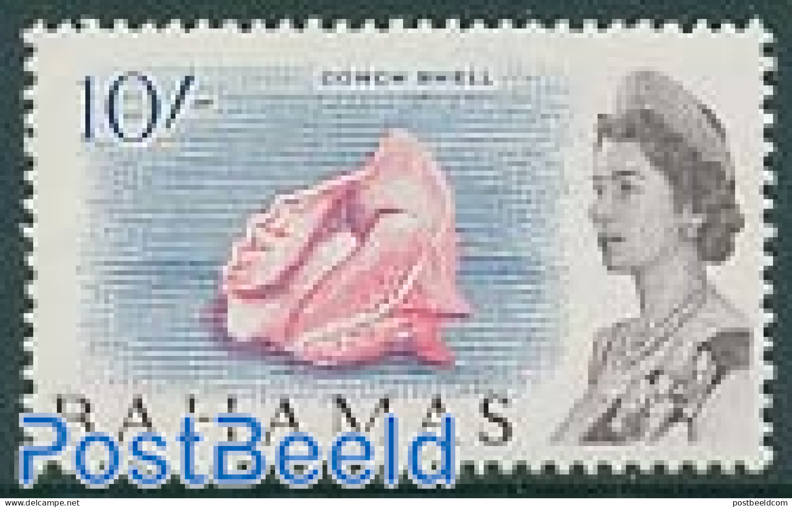 Bahamas 1965 1S, Stamp Out Of Set, Mint NH, Nature - Shells & Crustaceans - Maritiem Leven