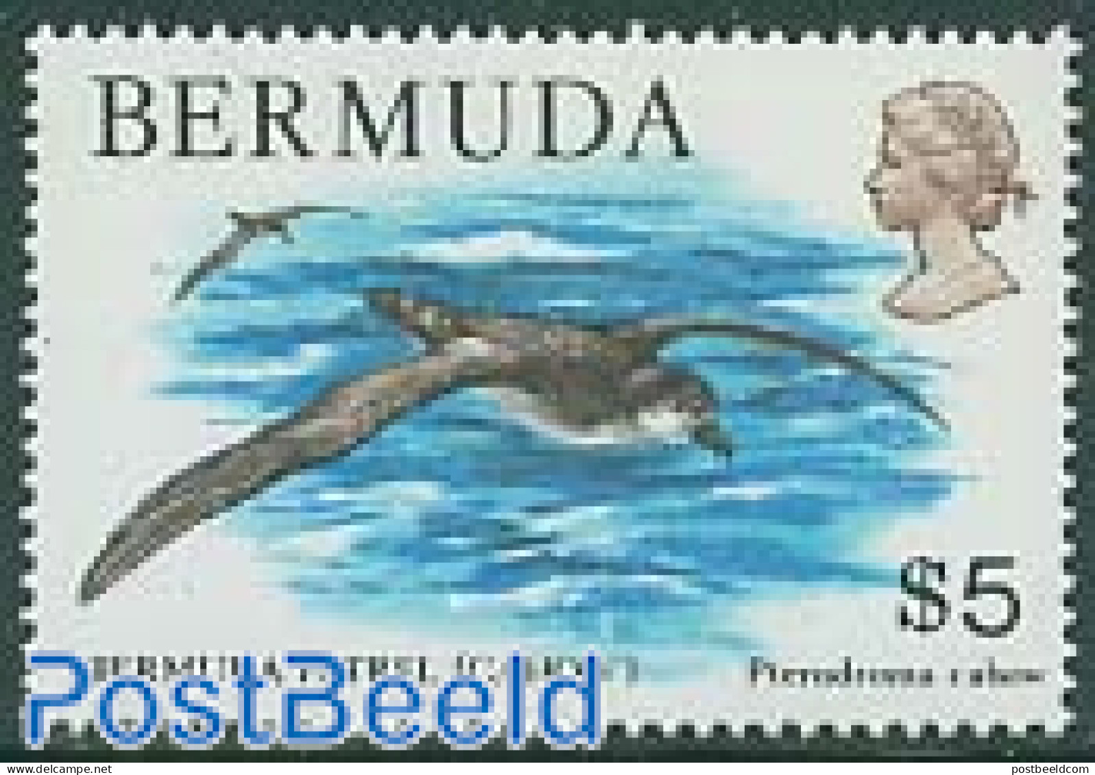 Bermuda 1978 5$, Stamp Out Of Set, Mint NH, Nature - Birds - Bermuda