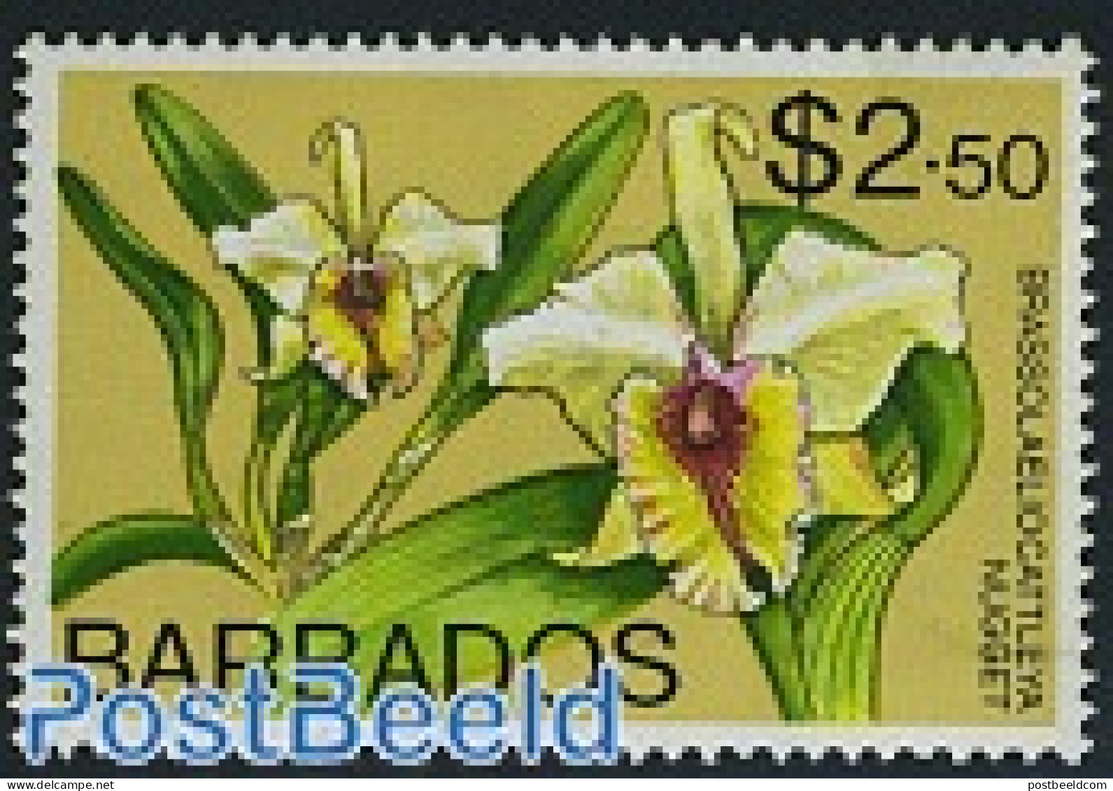 Barbados 1974 2.50$, Stamp Out Of Set, Mint NH, Nature - Flowers & Plants - Orchids - Barbados (1966-...)