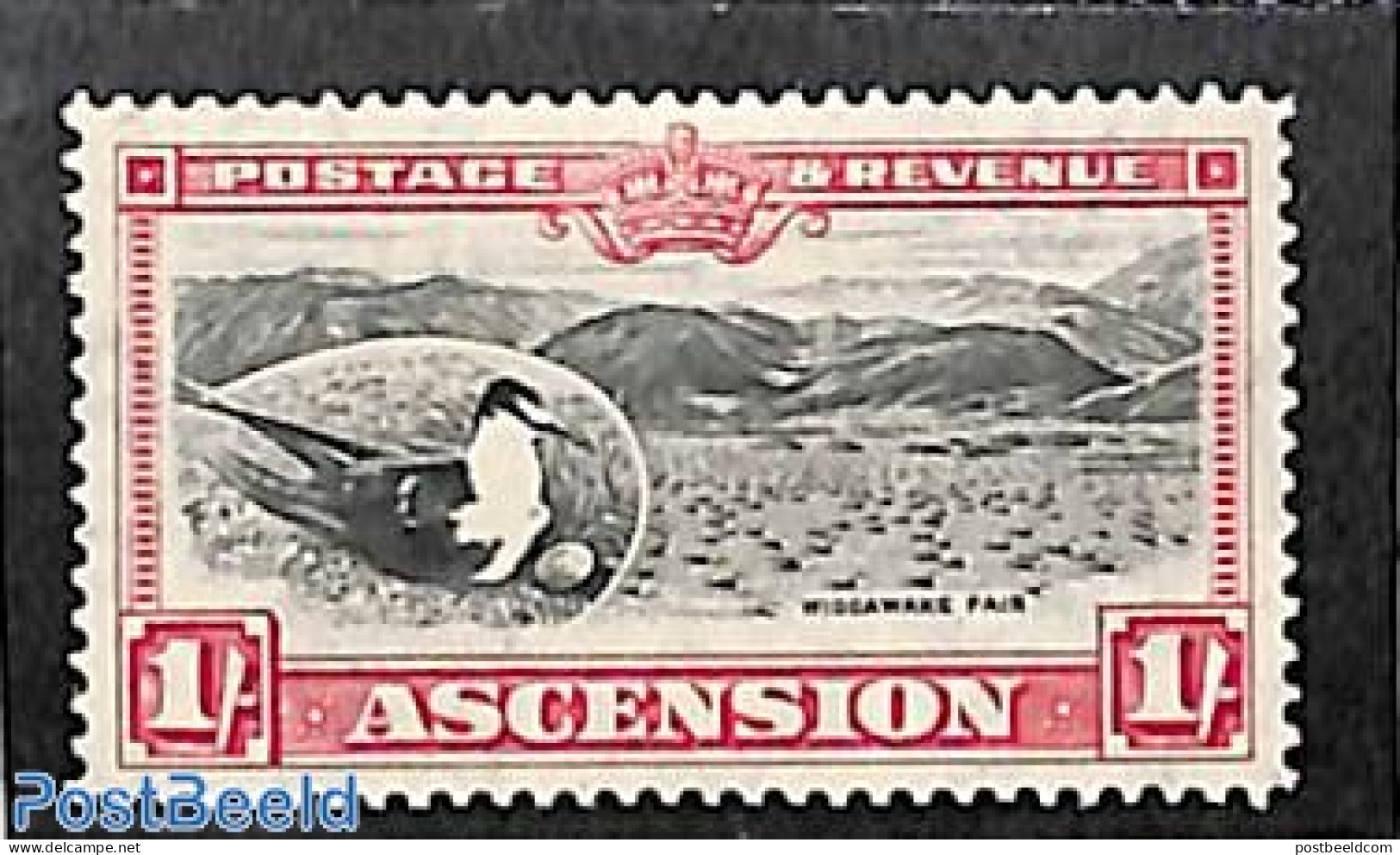 Ascension 1934 1Sh, Stamp Out Of Set, Unused (hinged), Nature - Birds - Ascension