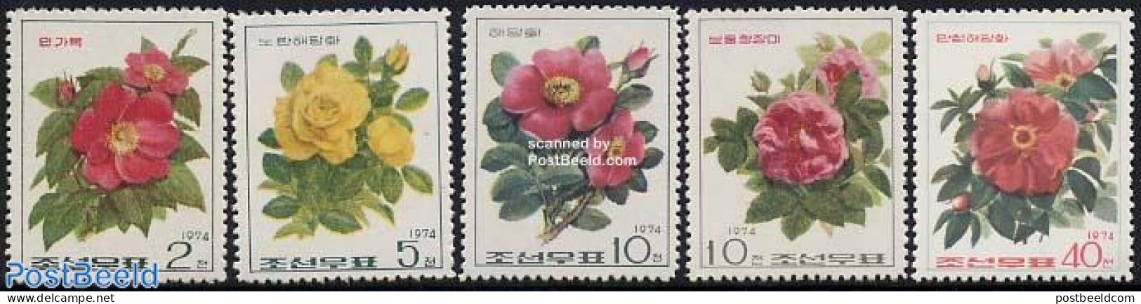 Korea, North 1974 Roses 5v, Mint NH, Nature - Flowers & Plants - Roses - Korea, North
