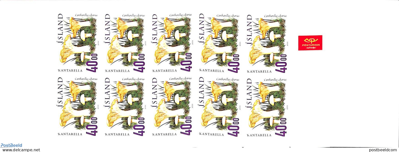 Iceland 2002 Mushrooms Booklet, Mint NH, Nature - Mushrooms - Stamp Booklets - Ungebraucht