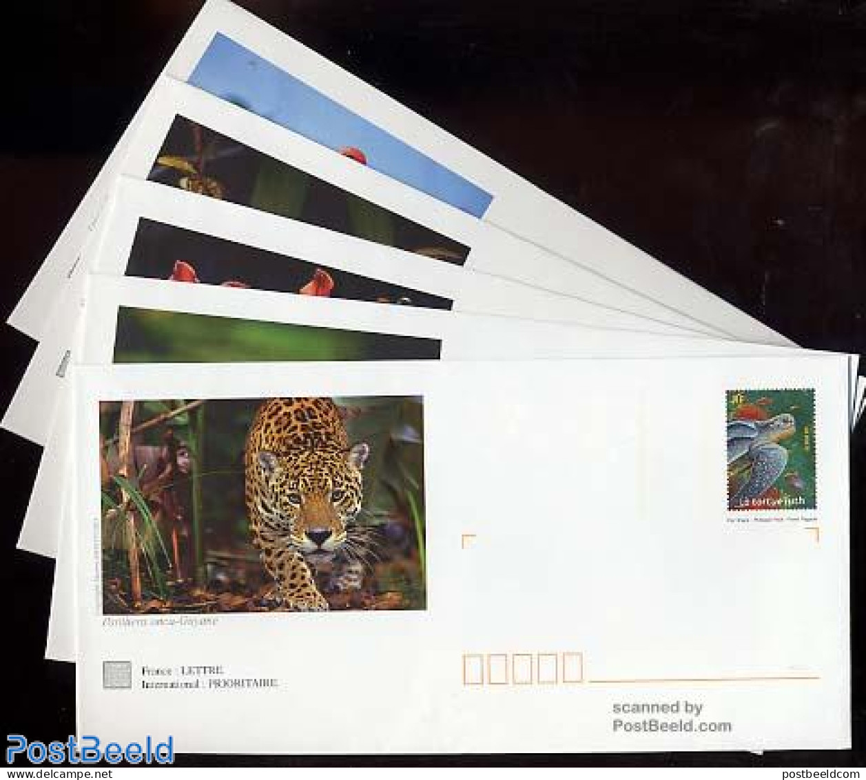 France 2002 Envelopes. Turtle. Set Of 5 Diff. Envelopes, Unused Postal Stationary, Nature - Animals (others & Mixed) -.. - Covers & Documents
