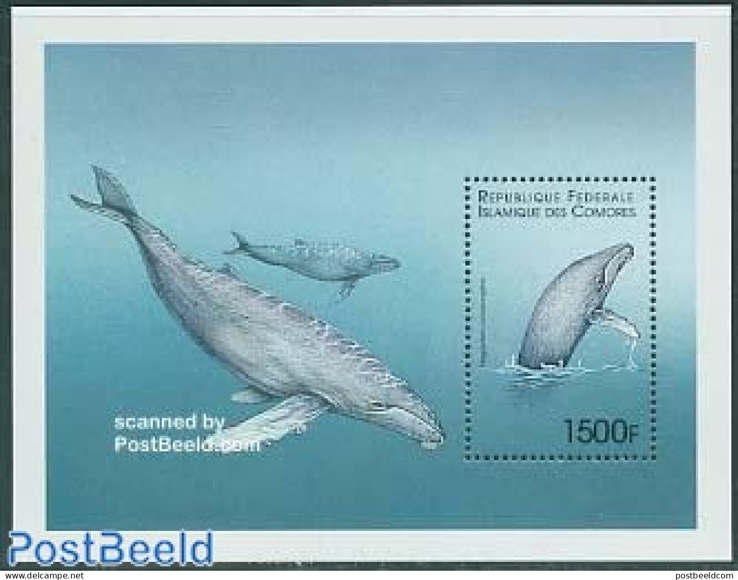 Comoros 1999 Buckwhale S/s, Mint NH, Nature - Sea Mammals - Comoren (1975-...)