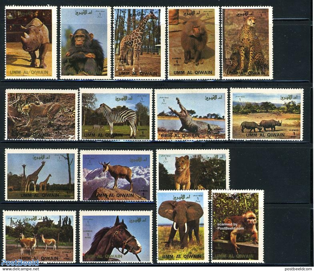 Umm Al-Quwain 1972 Animals 16v, Mint NH, Nature - Animals (others & Mixed) - Bears - Cat Family - Rhinoceros - Sea Mam.. - Umm Al-Qiwain