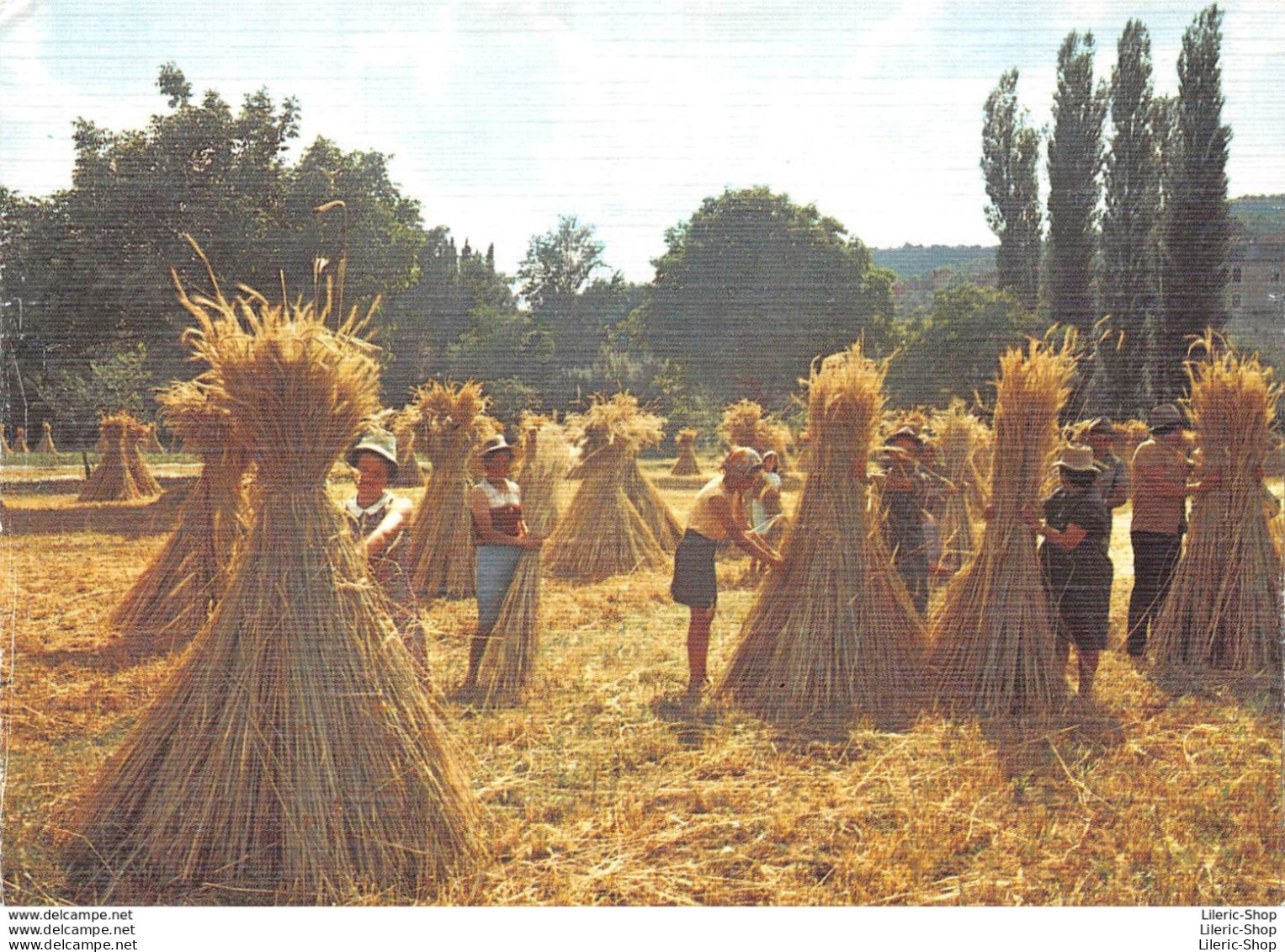 TRADITIONS "Les Petits Metiers De Chez Nous" - Survivance Du Passé - Les Moissons - Collection As De Cœur - Cultures