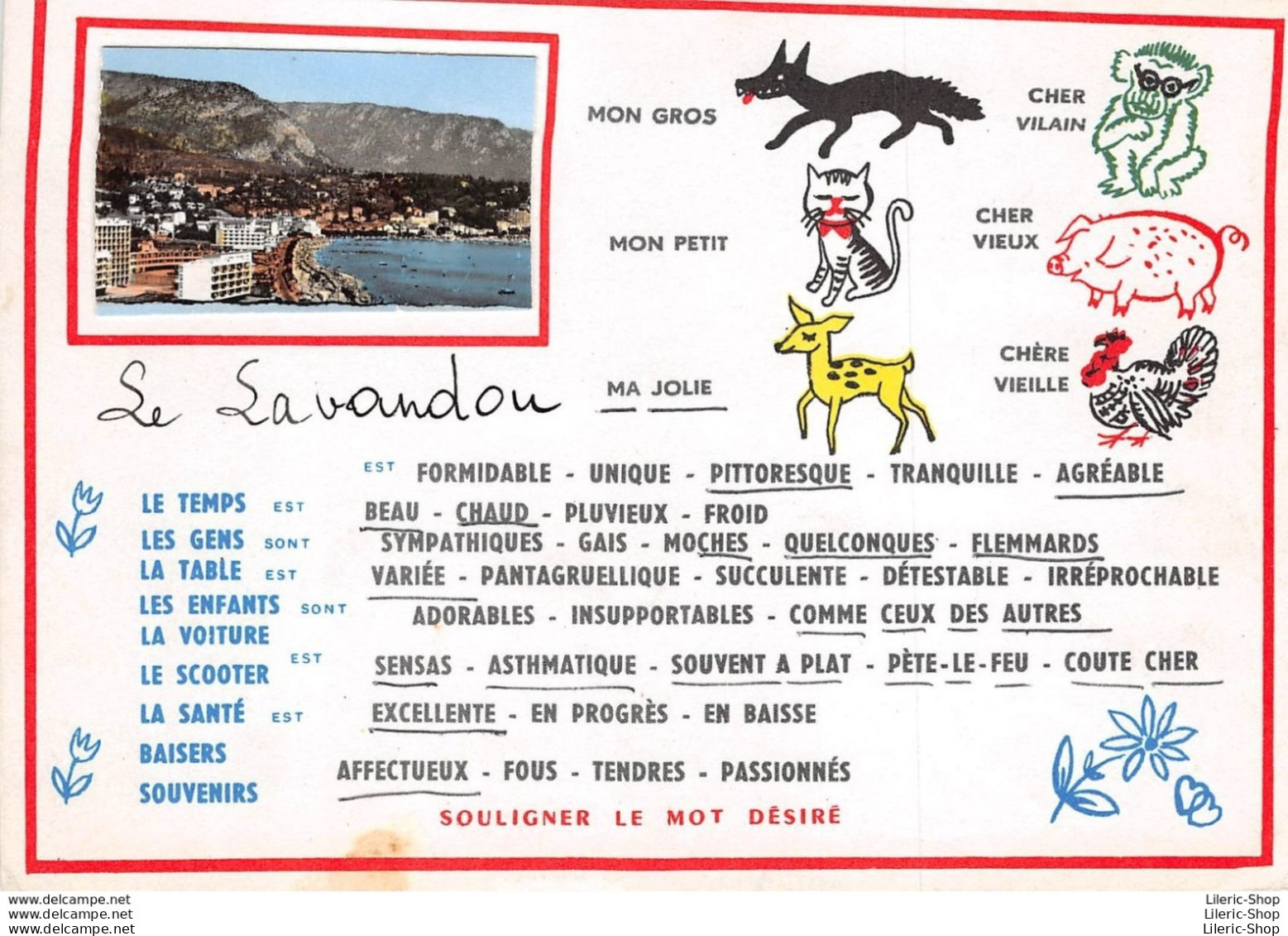 CPSM ±1970 - LE LAVANDOU - Souligner Le Mot Désiré "spécial Flemmard " - - Le Lavandou