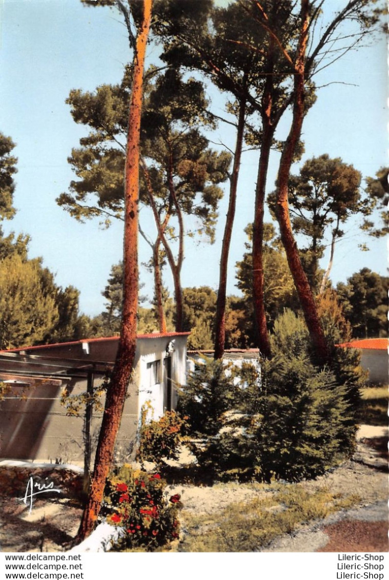 2 CPSM ±1960 SANARY SUR MER Maison Familiale De Vacances " FONTVIVE " - Édit. ARIS - Sanary-sur-Mer